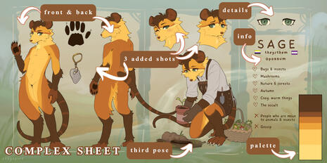 complex ref sheet - $100